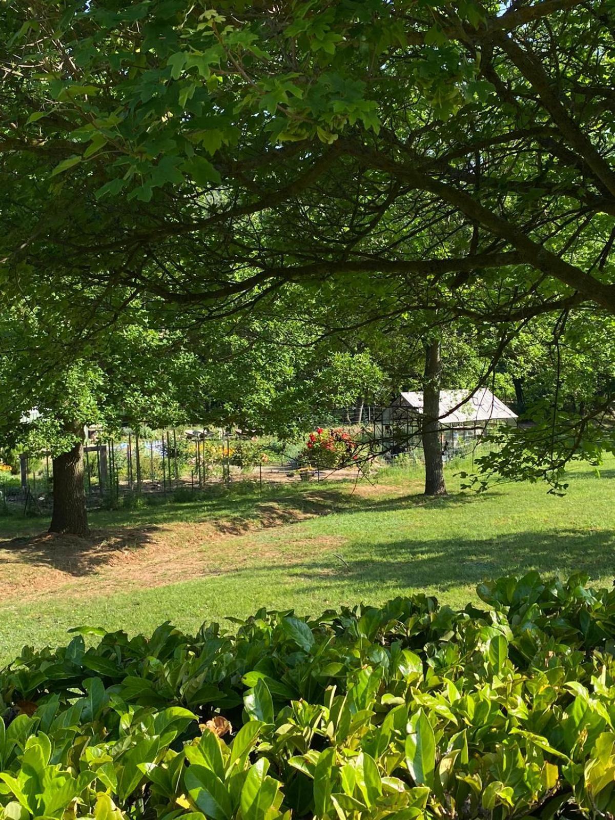 Le Parc - Suite Climatisee Magrie Exteriör bild